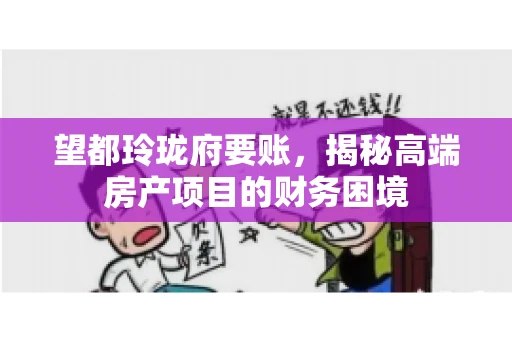 望都玲珑府要账，揭秘高端房产项目的财务困境