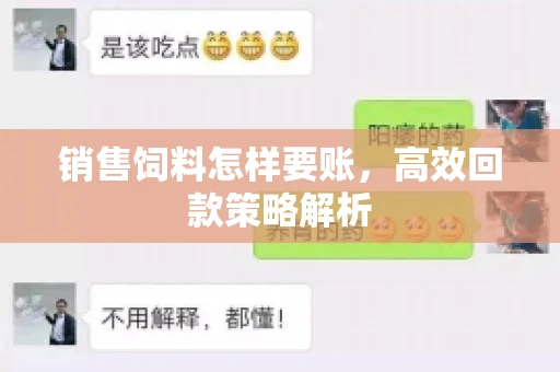 销售饲料怎样要账，高效回款策略解析