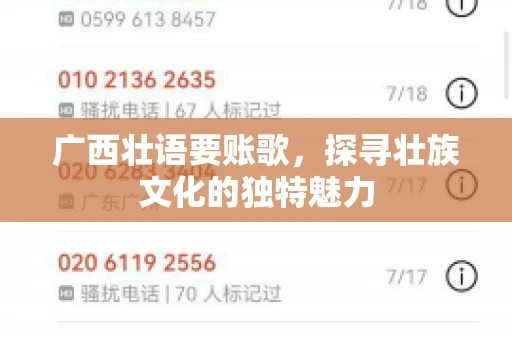 广西壮语要账歌，探寻壮族文化的独特魅力