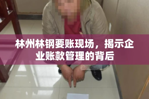 林州林钢要账现场，揭示企业账款管理的背后