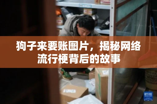 狗子来要账图片，揭秘网络流行梗背后的故事
