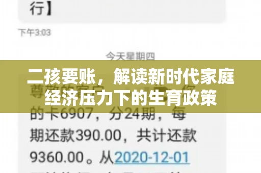 二孩要账，解读新时代家庭经济压力下的生育政策