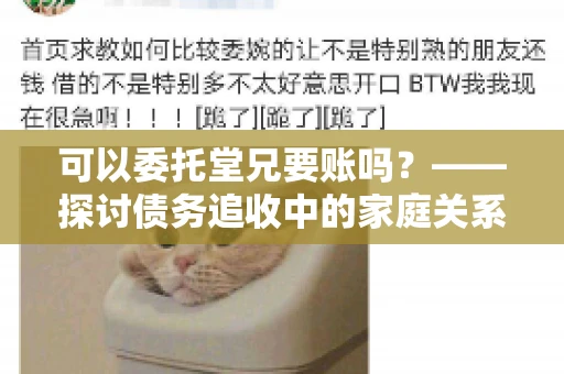 可以委托堂兄要账吗？——探讨债务追收中的家庭关系运用