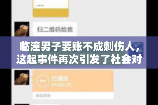 临潼男子要账不成刺伤人，这起事件再次引发了社会对讨债行为的关注。在这个故事中，我们不仅要了解事件的经过，还要思考如何避免类似悲剧的发生。