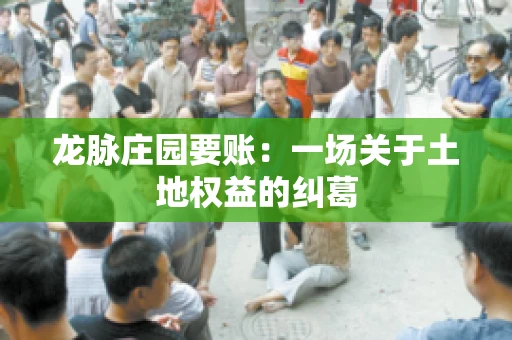 龙脉庄园要账:一场关于土地权益的纠葛 龙脉庄园要账:一场关于土地权益的纠葛