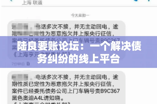陆良要账论坛:一个解决债务纠纷的线上平台 陆良要账论坛:一个解决债务纠纷的线上平台