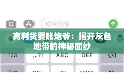 高利贷要账炮爷：揭开灰色地带的神秘面纱