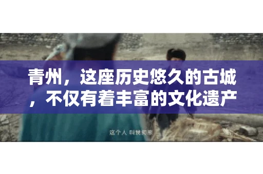 青州，这座历史悠久的古城，不仅有着丰富的文化遗产，还有着繁忙的经济活动。在商业往来中，难免会遇到一些欠款问题，这时候，找一家专业的要账公司就显得尤为重要。那么，青州有帮人要账的吗？答案是肯定的。下面，我就来为大家详细介绍一下青州地区的要账服务。