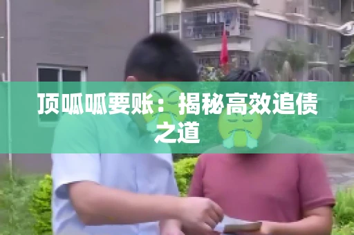 顶呱呱要账：揭秘高效追债之道