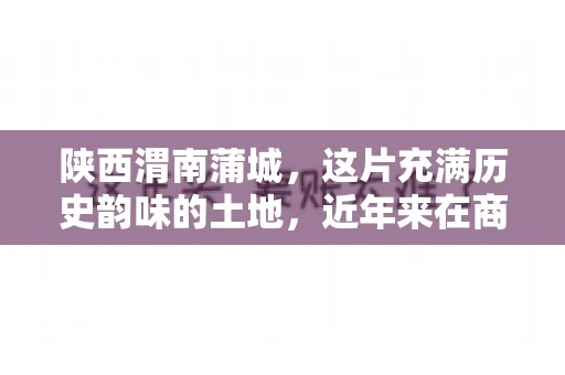 陕西渭南蒲城，这片充满历史韵味的土地，近年来在商业活动中也展现出了其独特的活力。其中，关于“陕西渭南蒲城要账”的话题，成为了不少企业关注的焦点。今天，我们就来聊聊这个话题，看看在蒲城，要账的那些事儿。