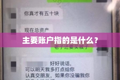 主要账户指的是什么? 主要账户指的是什么?