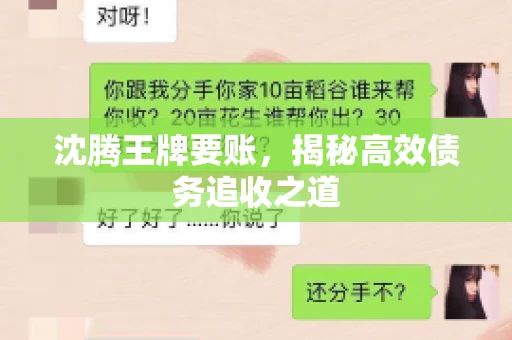 沈腾王牌要账，揭秘高效债务追收之道