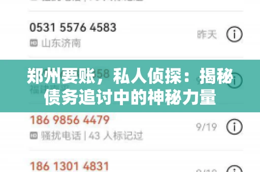 郑州要账，私人侦探：揭秘债务追讨中的神秘力量