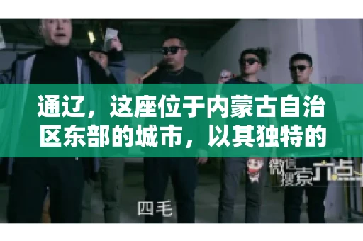 通辽，这座位于内蒙古自治区东部的城市，以其独特的地理位置和丰富的自然资源而闻名。然而，对于许多企业来说，通辽的另一个重要角色可能是其作为要账公司的聚集地。那么，通辽究竟有几家要账公司呢？今天，我们就来聊聊这个话题。