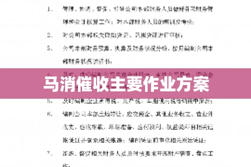 马消催收主要作业方案
