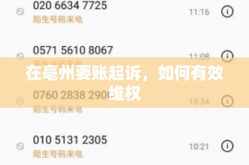 在亳州要账起诉，如何有效维权