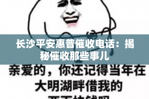 长沙平安惠普催收电话:揭秘催收那些事儿 长沙平安惠普催收电话:揭秘催收那些事儿