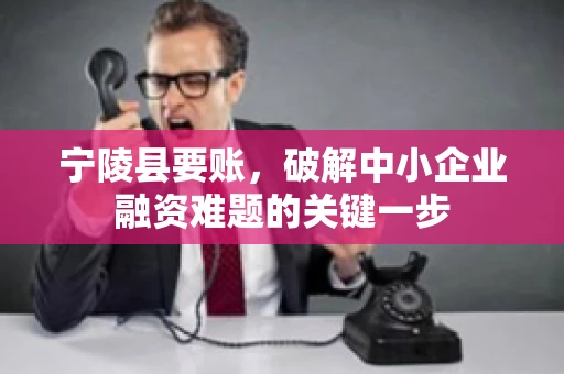 宁陵县要账，破解中小企业融资难题的关键一步