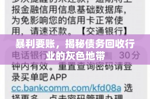暴利要账,揭秘债务回收行业的灰色地带 暴利要账,揭秘债务回收行业的灰色地带